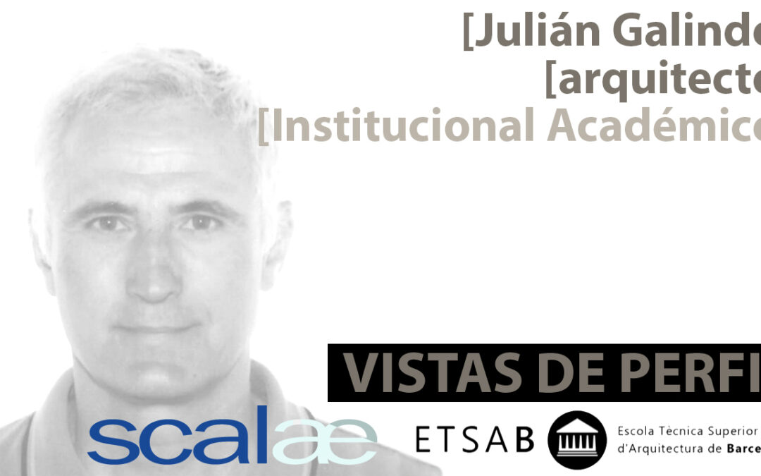 «Vistas de Perfil», Julián Galindo, Institucional Académico