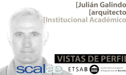 «Vistas de Perfil», Julián Galindo, Institucional Académico